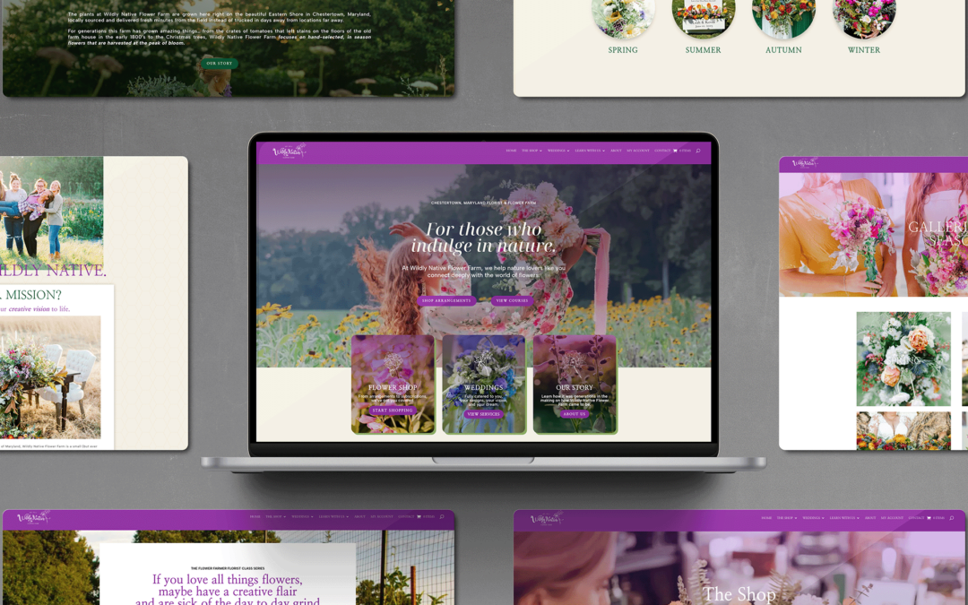 Wildy Native Flower Farm